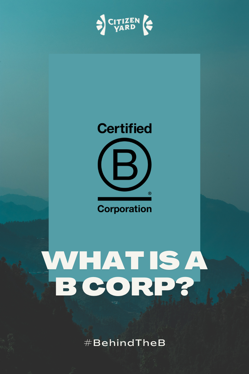 what is a b corp #behindtheb article header image